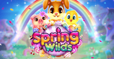 DachBet springWilds